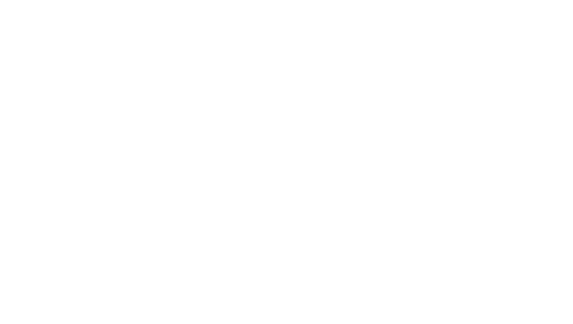Airbus