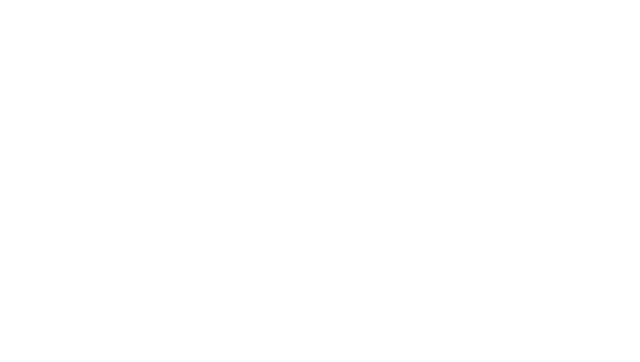 Freelancer